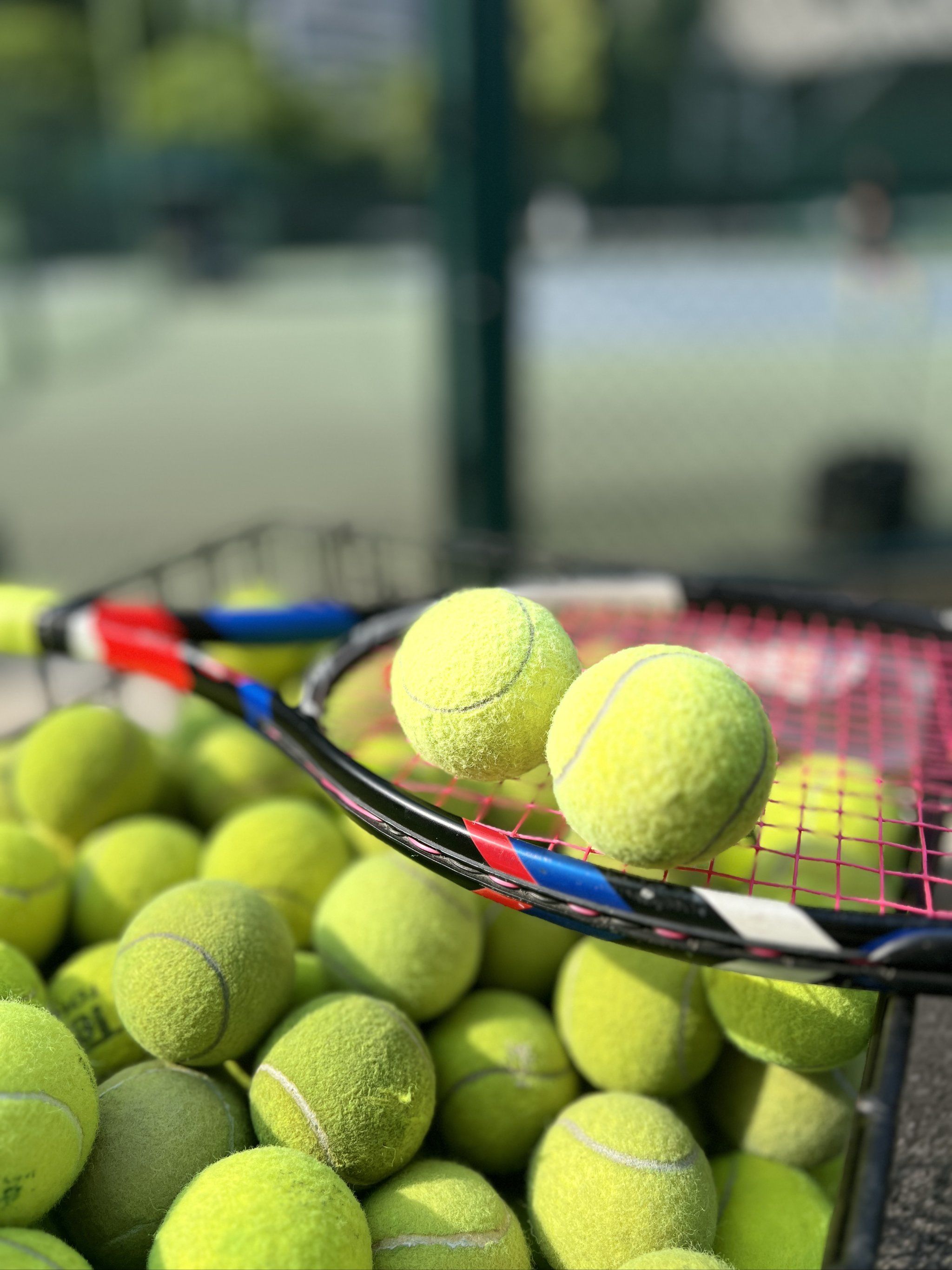 球迷们期待 球迷们期待